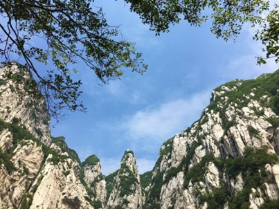 20210325/10457bb76f3856a002f31add34e02dcf.png 20210325/10457bb76f3856a002f31add34e02dcf.png