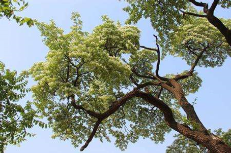 20210325/27f2fe51a7e6ee1f1cb8c55342104a24.png 20210325/27f2fe51a7e6ee1f1cb8c55342104a24.png