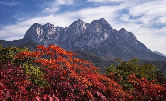 20210325/3c4885ac6befb7a624ad56d9288244ef.png 20210325/3c4885ac6befb7a624ad56d9288244ef.png