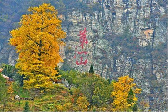 20210325/3d1355d8c9f741fad4c184bcb24a1c3c.png 20210325/3d1355d8c9f741fad4c184bcb24a1c3c.png