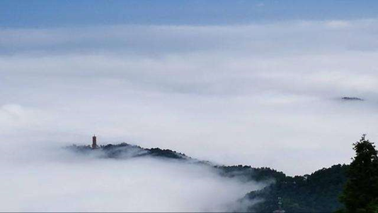 20210325/8808f9fc1a80efbca2f32a0829142a00.png 20210325/8808f9fc1a80efbca2f32a0829142a00.png