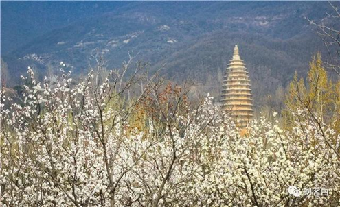 20210325/8dccf306a29bf96f3822fb71020af63b.png 20210325/8dccf306a29bf96f3822fb71020af63b.png