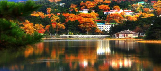 20210329/b440d079983c1040c75ff79d910b825a.png 20210329/b440d079983c1040c75ff79d910b825a.png