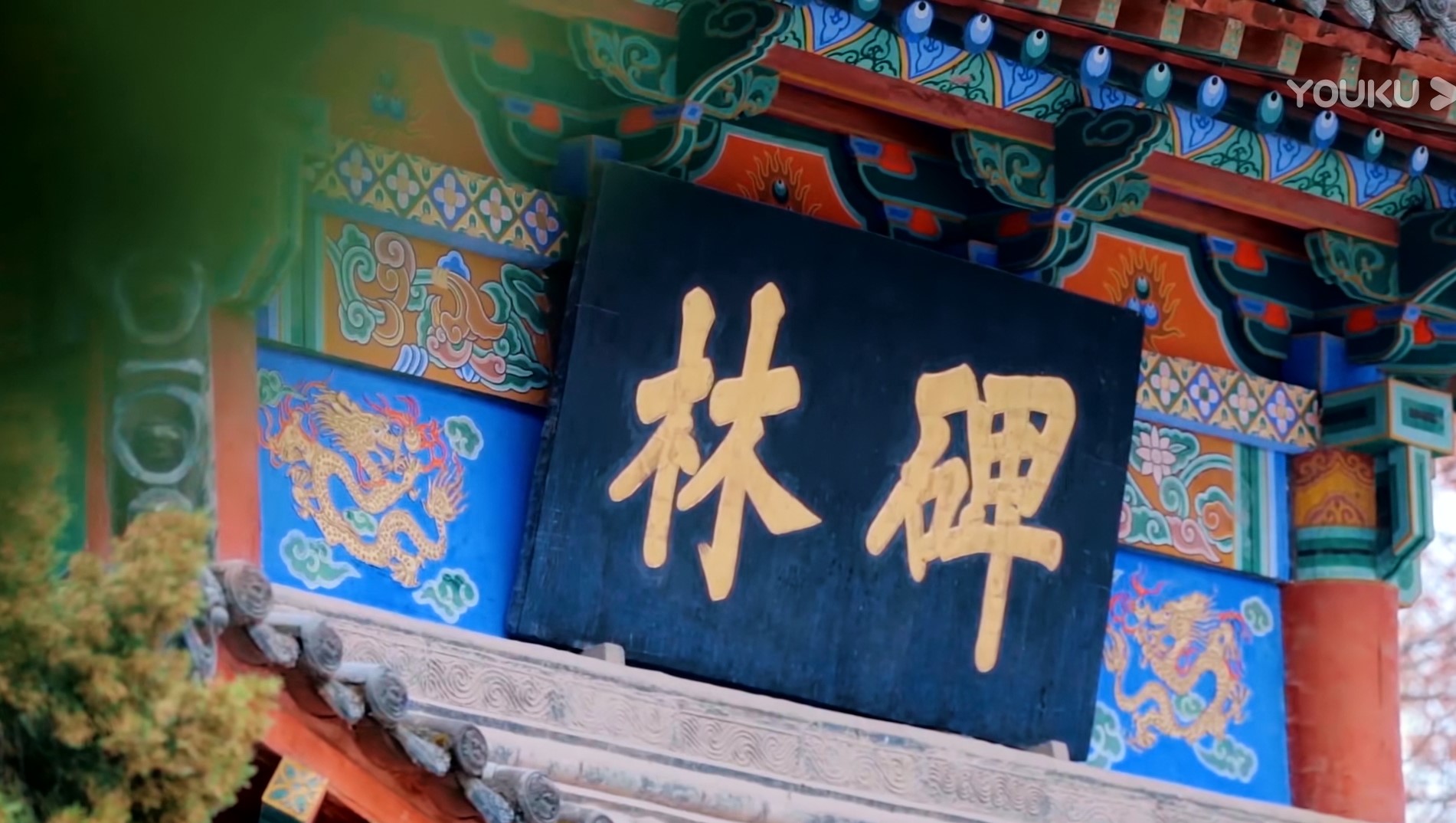 20210330/887930f989a6e0efee46b49a8c9b5de3.jpg 20210330/887930f989a6e0efee46b49a8c9b5de3.jpg