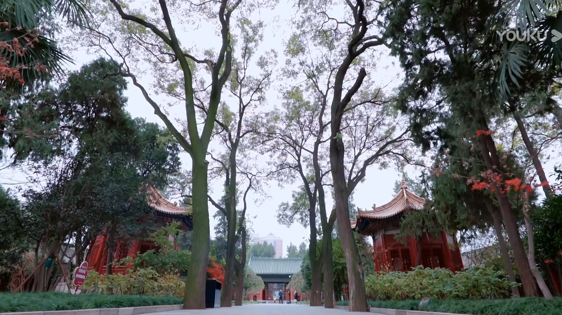 20210330/acfdf4dccb9acebc1a0e800d54502d5f.jpg 20210330/acfdf4dccb9acebc1a0e800d54502d5f.jpg