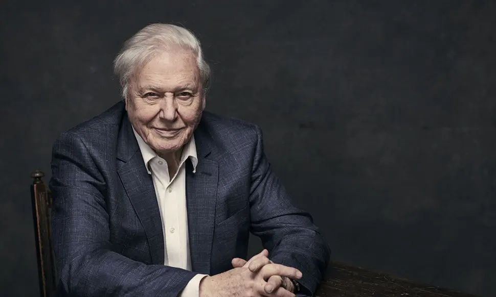 20210406/2ebbfaca06dcb597fa985f9539ca6464.jpg 20210406/2ebbfaca06dcb597fa985f9539ca6464.jpg