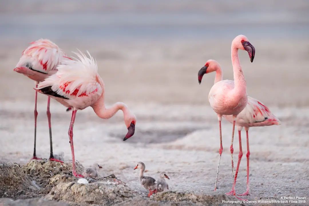 20210406/ca7788f5f028d1b9fb37afb5cedd37e3.jpg 20210406/ca7788f5f028d1b9fb37afb5cedd37e3.jpg