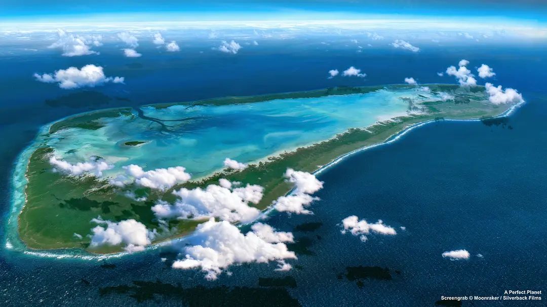 完美星球：每一个生命，都是地球的奇迹