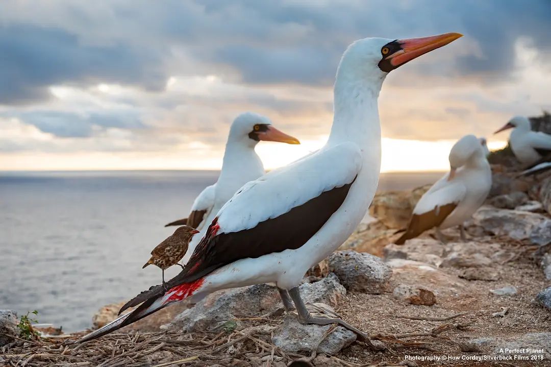 20210406/f57c09c8e3a6c796a0baaa85a8da3c7c.jpg 20210406/f57c09c8e3a6c796a0baaa85a8da3c7c.jpg