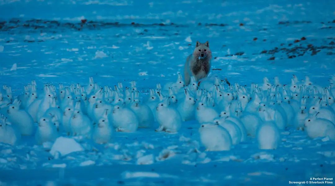 20210406/f8c77397e816cdb458d490225a53b58c.jpg 20210406/f8c77397e816cdb458d490225a53b58c.jpg