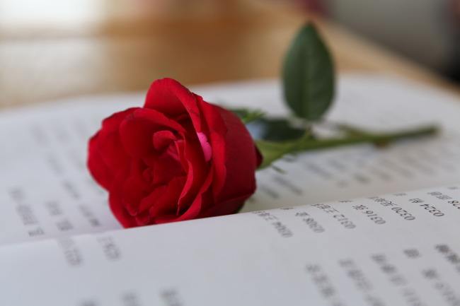 20210408/21a303c0b3cb1d0ad4c2a8d9ddbb0a8a.jpg 20210408/21a303c0b3cb1d0ad4c2a8d9ddbb0a8a.jpg