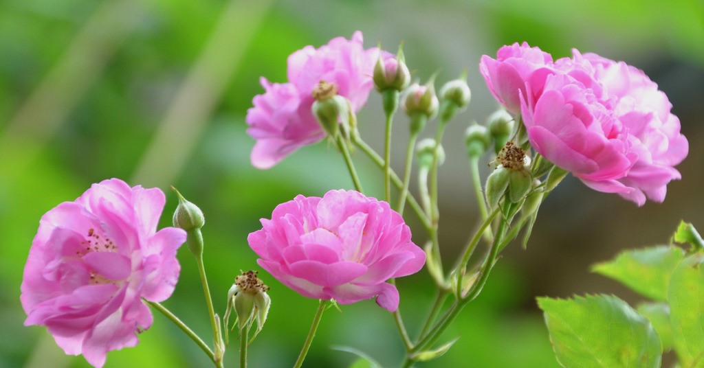 20210408/34bb173a104a5c78fee98445add93568.jpg 20210408/34bb173a104a5c78fee98445add93568.jpg