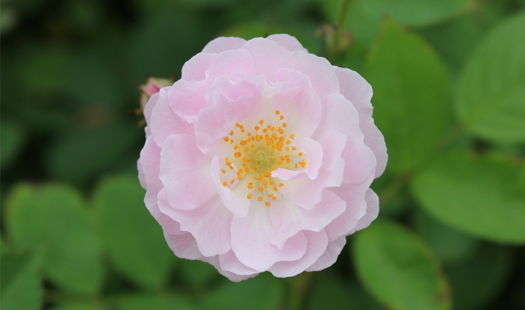 20210408/83b2f233259b34dd942c8ac17a57ab91.png 20210408/83b2f233259b34dd942c8ac17a57ab91.png