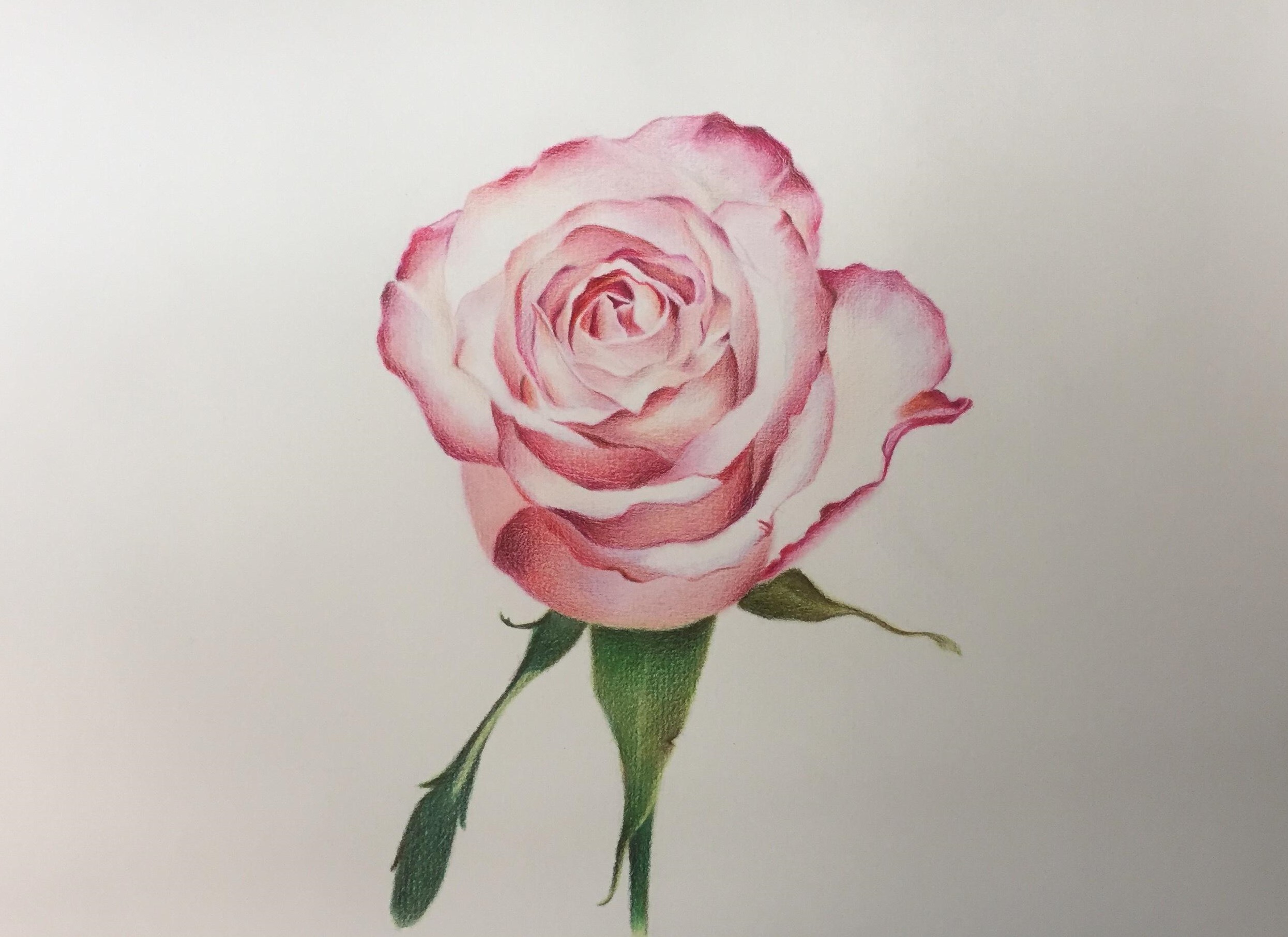 20210408/e3402310b7b5e550a681b844bd1c45a1.jpg 20210408/e3402310b7b5e550a681b844bd1c45a1.jpg