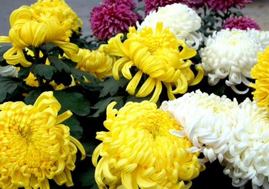 20210414/7b2ad16da3f05d22b2ed046fb9bba05e.png 20210414/7b2ad16da3f05d22b2ed046fb9bba05e.png