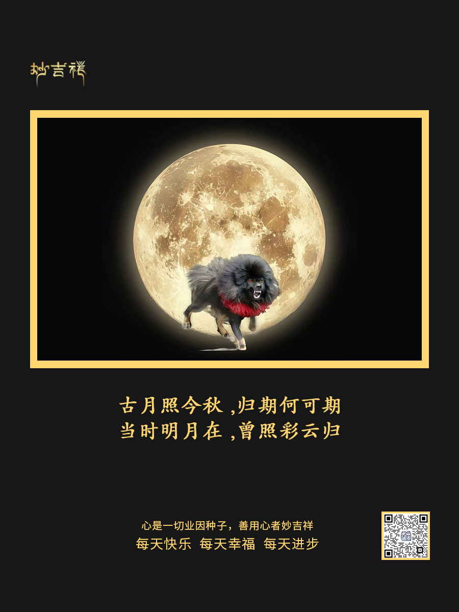 20241119/57acc66ad07f9167ea8371afb7831d09.jpg 20241119/57acc66ad07f9167ea8371afb7831d09.jpg