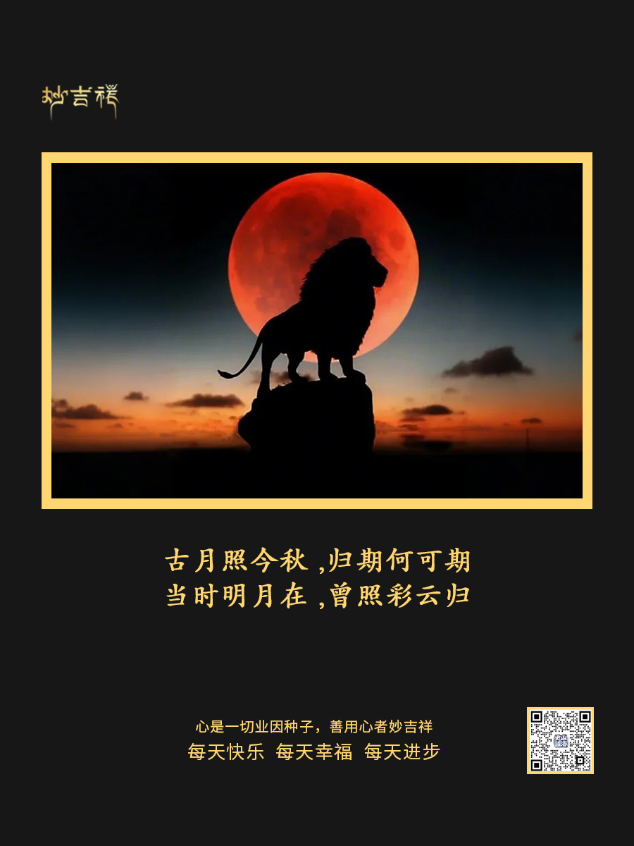 20241119/de6c837ed29cf5bbb57f05bf5573f0d2.jpg 20241119/de6c837ed29cf5bbb57f05bf5573f0d2.jpg