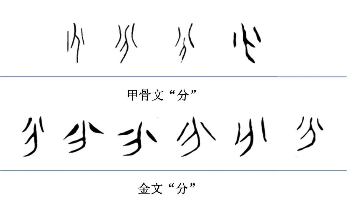 20241120/b21a9574667677ca0889c07a73577976.png 20241120/b21a9574667677ca0889c07a73577976.png