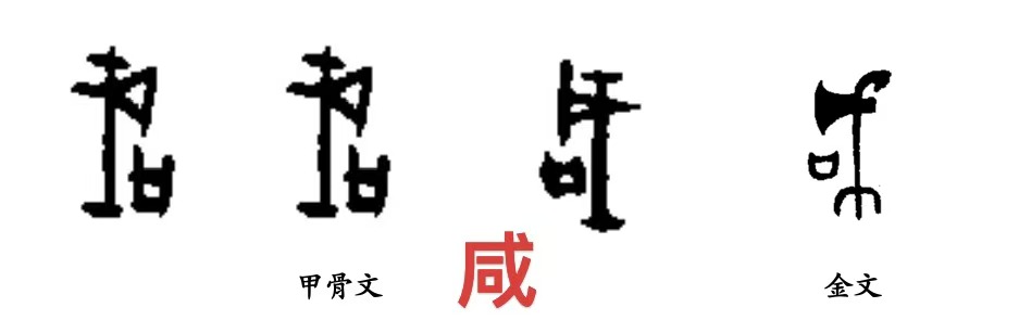 20241120/b2a475aed2409da6b0bf6c8605e21ea3.jpg 20241120/b2a475aed2409da6b0bf6c8605e21ea3.jpg